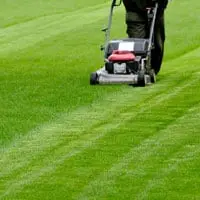 Lawn Care Reading