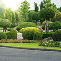 Landscaping Reading