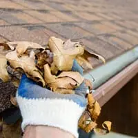 Gutter Cleaning Reading